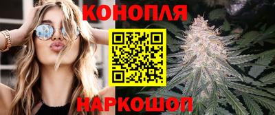 сатива Будённовск