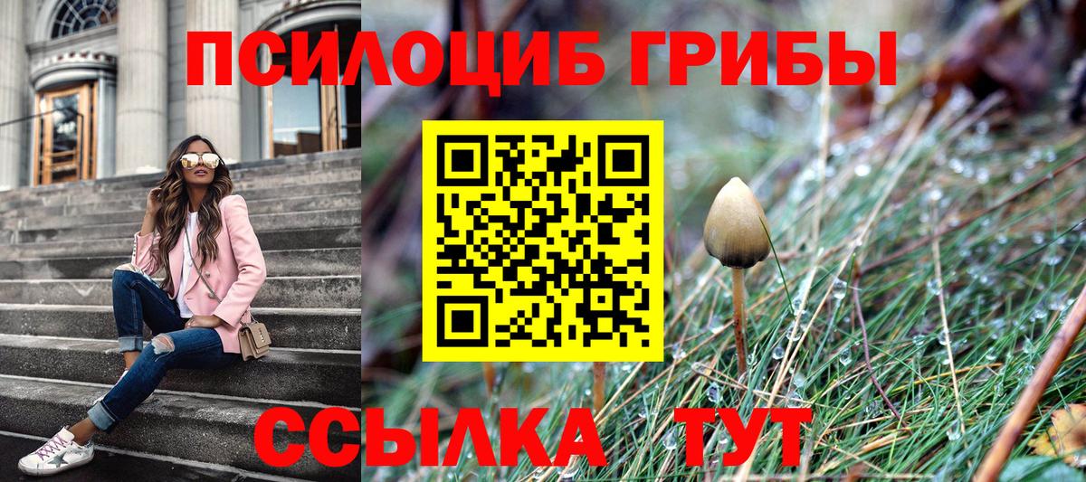Тихвин  Псилоцибиновые грибы MAGIC MUSHROOMS  Вход с VPN  Галлюциногенные грибы прущие грибы 